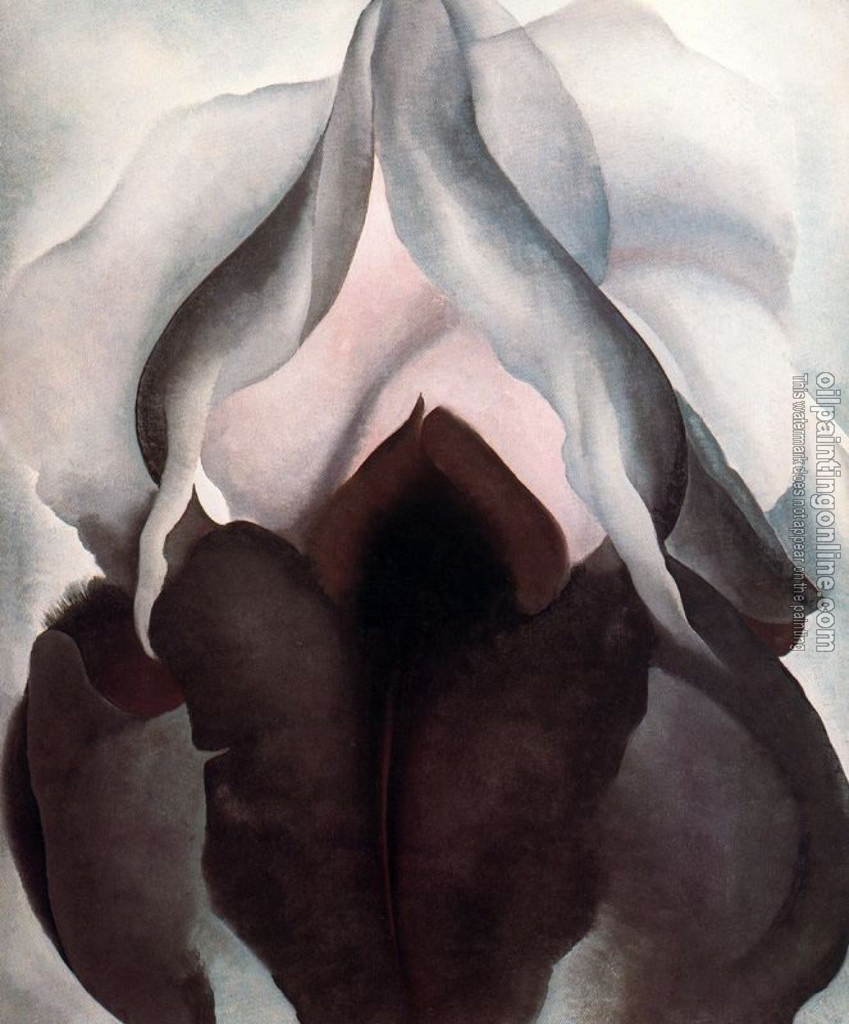 O Keeffe, Georgia - Black Iris III II